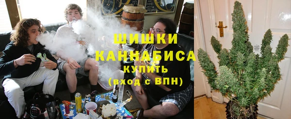 трава Алзамай