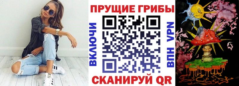 купить наркотик  Белебей  Псилоцибиновые грибы мицелий 